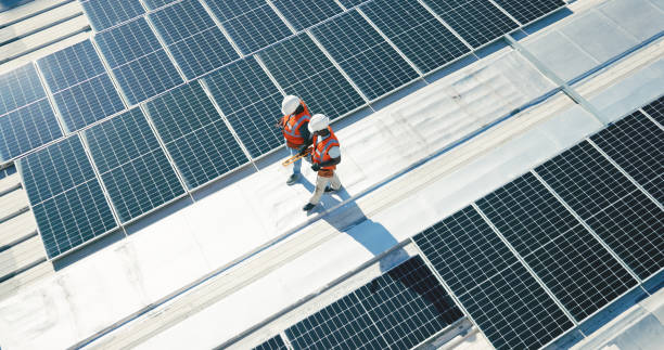 Roof Moss and Algae Removal in Pearsall, TX